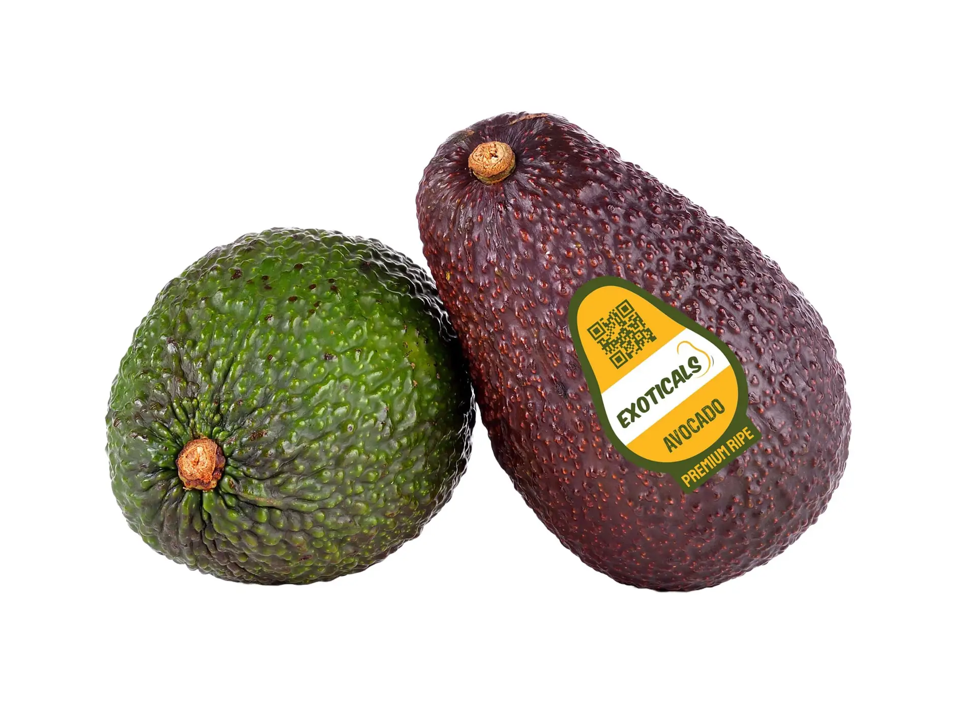 avosticker-min (1)